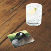 Dessous-de-verre Photo de la faune de Canada Goose