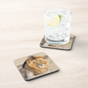 Dessous-de-verre Photo de lion majestueuse