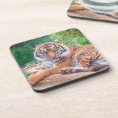 Dessous-de-verre Photo de tigre étonnante (Côté gauche)