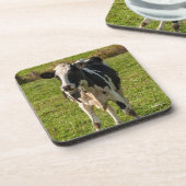 Dessous-de-verre photo de vache (Côté gauche)