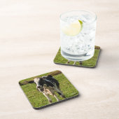 Dessous-de-verre photo de vache (Côté Droit)