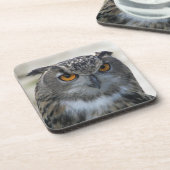 Dessous-de-verre Photo Eurasian Eagle Owl (Côté gauche)