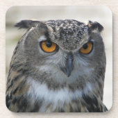 Dessous-de-verre Photo Eurasian Eagle Owl (Devant)