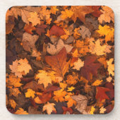 Dessous-de-verre Photo Feuilles d'automne (Devant)