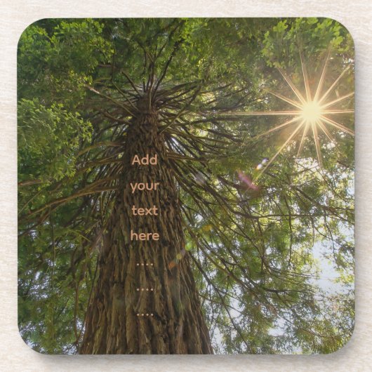 Dessous-de-verre Photo inspirante d'un arbre vers le ciel (Devant)