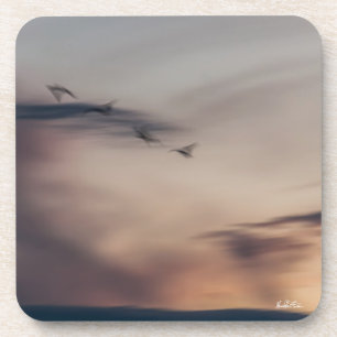 Dessous-de-verre photo oiseaux abstraite