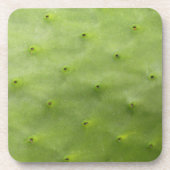 Dessous-de-verre Photo verte tropicale botanique de cactus (Devant)