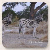 Dessous-de-verre Photo Zebra Double Take (Devant)