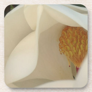 Dessous-de-verre Photographie de Magnolia Floral Fine Art