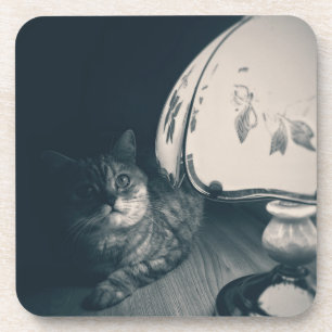 Dessous-de-verre Photographie de style noir de chats et lampes