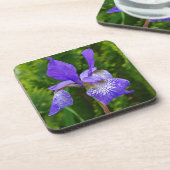 Dessous-de-verre Photographie florale d'Iris sybirica (Côté gauche)