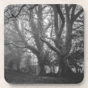 Dessous-de-verre Photographie noir et blanc de la forêt éffrayante