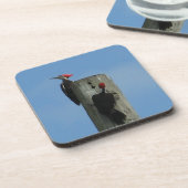 Dessous-de-verre Pic pilé sur un pôle (Côté gauche)