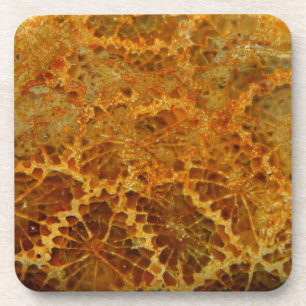 Dessous-de-verre Pierre gemme naturelle de corail fossilisée de ja