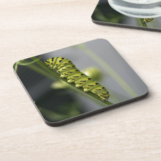 Dessous-de-verre Pilière à queue noire (chenille) sur Dil (Côté gauche)