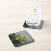 Dessous-de-verre Pilière à queue noire (chenille) sur Dil (Côté Droit)