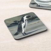 Dessous-de-verre Pingouin africain (Côté gauche)