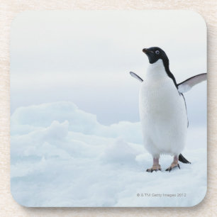 Dessous-de-verre Pingouin d'Adelie, Antarctique