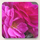 Dessous-de-verre Pink Roses (Devant)