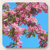 Dessous-de-verre Pink Tree Blossom and Blue Sky Photo (Devant)