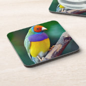 Dessous-de-verre Pinson gouldian coloré (Côté gauche)