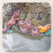 Dessous-de-verre Piscine à marée, plage de Ruby, parc national olym (Devant)
