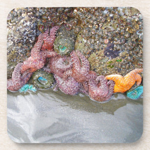 Dessous-de-verre Piscine à marée, plage de Ruby, parc national olym
