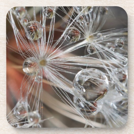 Dessous-de-verre Pissenlit Abstrait (Devant)