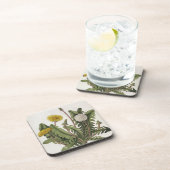 Dessous-de-verre Pissenlit (gravure de couleur) (Côté Droit)