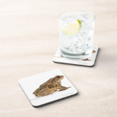 Dessous-de-verre Pisser de crapaud commun ou de crapaud européen (Côté Droit)