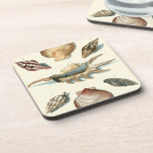 Dessous-de-verre Plage de Shell soignée (Côté gauche)