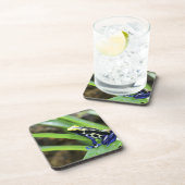 Dessous-de-verre Plan rapproché de grenouille de teinture de dard (Côté Droit)