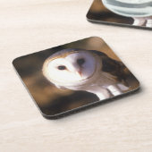 Dessous-de-verre 'Plan rapproché du hibou de grange, terre entre (Côté gauche)