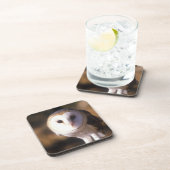 Dessous-de-verre 'Plan rapproché du hibou de grange, terre entre (Côté Droit)