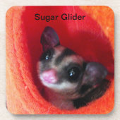 Dessous-de-verre Planeur à sucre en Orange Hanging Lit (Devant)