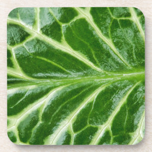 Dessous-de-verre Plante de pinte de cacao