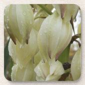 Dessous-de-verre Plante du Yucca (Devant)