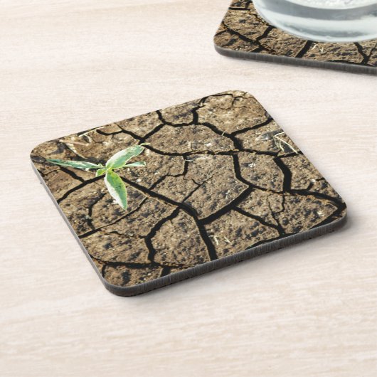 Dessous-de-verre Plantule dans une terre fissurée (Côté gauche)