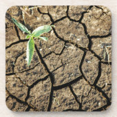 Dessous-de-verre Plantule dans une terre fissurée (Devant)