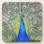 Dessous-de-verre Plumage bleu Peacock (Devant)