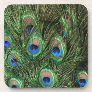 Dessous-de-verre Plumes de paon