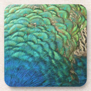 Dessous-de-verre Plumes de paon I Design de nature abstrait coloré