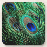 Plumes de paon Lucky