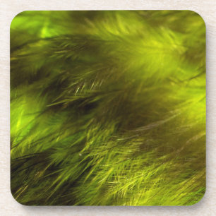 Dessous-de-verre Plumes jaunes