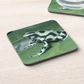 Dessous-de-verre Poison Dart Frog, (Dendrobates auratus) Cahuita (Côté gauche)