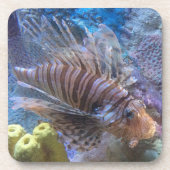 Dessous-de-verre Poisson (Devant)