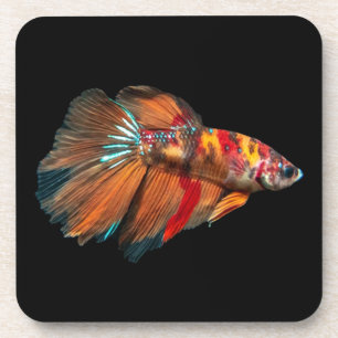 Dessous-de-verre Poisson Betta demi-lune