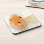 Dessous-de-verre Poisson d'eau douce tropical (Côté gauche)