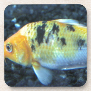 Dessous-de-verre Poisson d'or tacheté
