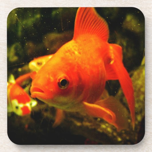 Dessous-de-verre Poisson doré (Devant)